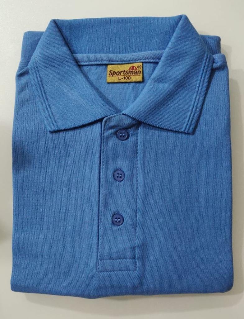 Sportsman Polo neck T-Shirt supplier - 230 Gsm - Aqua Blue